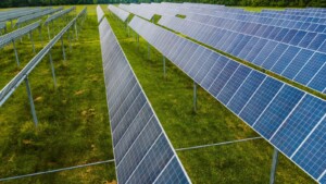 agrivoltaico interfilare